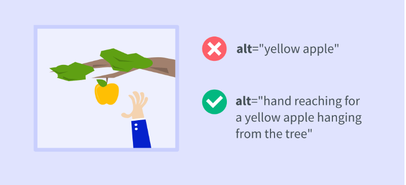 example of alt text for image seo